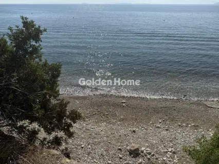住宅 804m<sup>2</sup> for sale photo 7