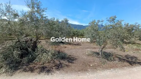 Οικιστικό 494τ.μ. προς πώληση φωτογραφία 5690668