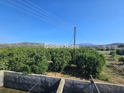 Οικιστικό 11000τ.μ. προς πώληση φωτογραφία 2