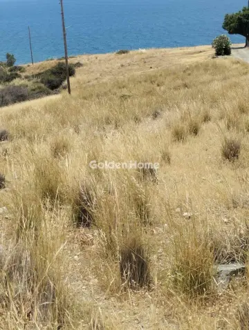 Οικιστικό 6000τ.μ. προς πώληση φωτογραφία 5674882