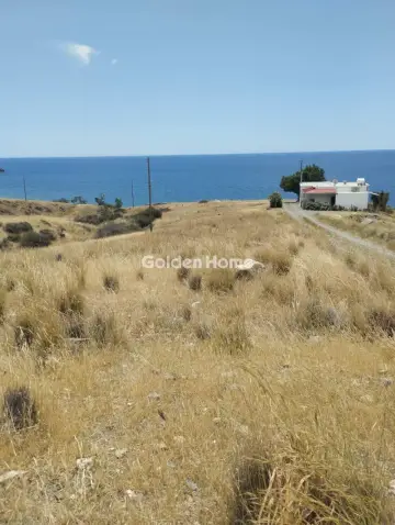 Οικιστικό 6000τ.μ. προς πώληση φωτογραφία 5683444
