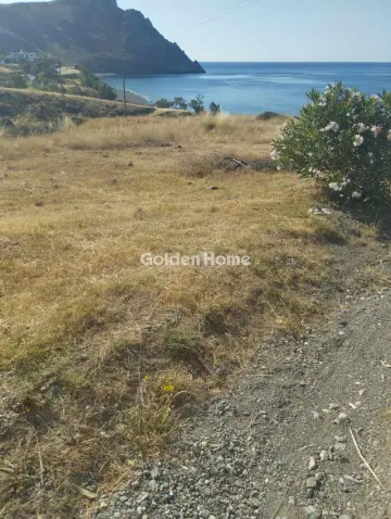 Οικιστικό 6000τ.μ. προς πώληση φωτογραφία 5683444