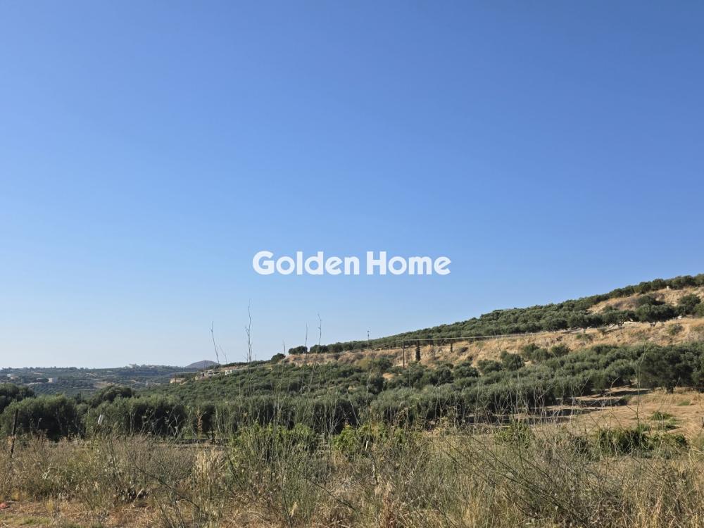 Οικόπεδο 2000m<sup>2</sup> for rent display photo