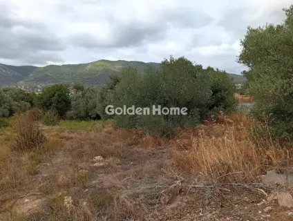Οικιστικό 592τ.μ. προς πώληση φωτογραφία 5