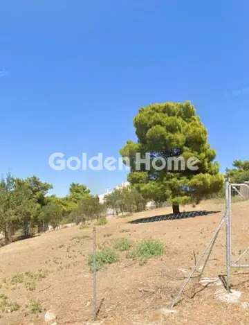 Οικιστικό 803τ.μ. προς πώληση φωτογραφία 1