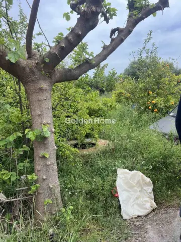 Μονοκατοικία 151τ.μ. προς πώληση φωτογραφία 5693724