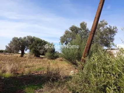 Αγροτεμάχιο 2800τ.μ. προς πώληση φωτογραφία 5683979