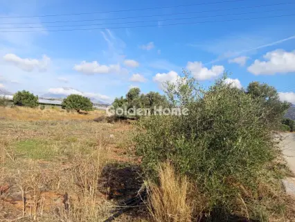 Αγροτεμάχιο 2800τ.μ. προς πώληση φωτογραφία 5683993