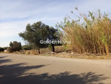 Αγροτεμάχιο 2800τ.μ. προς πώληση φωτογραφία 5684002