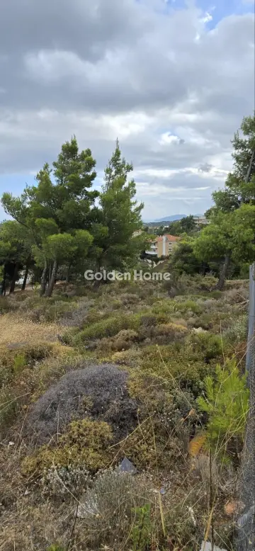 Οικιστικό 1022τ.μ. προς πώληση φωτογραφία 5684476