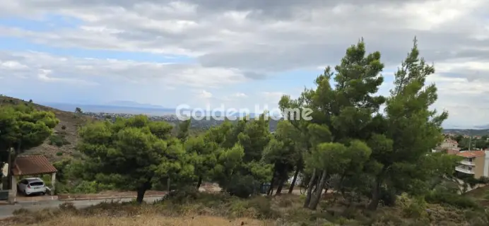Οικιστικό 1022τ.μ. προς πώληση φωτογραφία 5684477