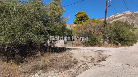 Αγροτεμάχιο 293τ.μ. προς πώληση φωτογραφία 5683061