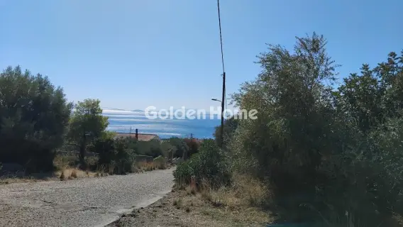 Αγροτεμάχιο 293τ.μ. προς πώληση φωτογραφία 5683062