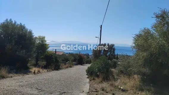Αγροτεμάχιο 293τ.μ. προς πώληση φωτογραφία 5683063