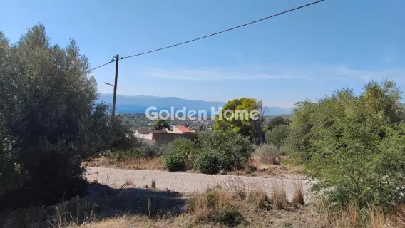 Αγροτεμάχιο 293τ.μ. προς πώληση φωτογραφία 5683064