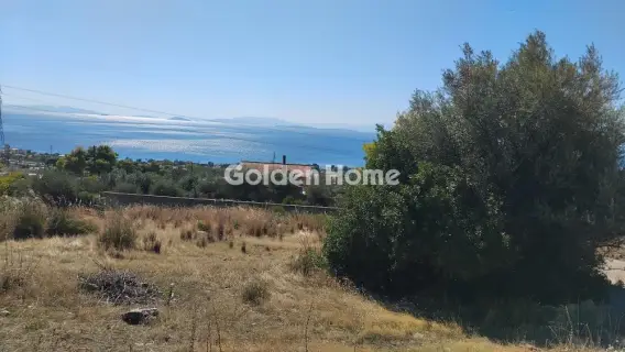 Αγροτεμάχιο 293τ.μ. προς πώληση φωτογραφία 5683065