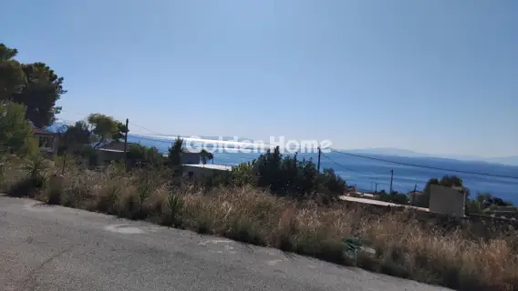 Αγροτεμάχιο 363τ.μ. προς πώληση φωτογραφία 5683053