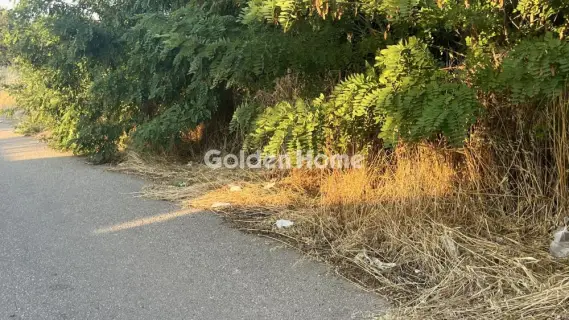 Αγροτεμάχιο 1140τ.μ. προς πώληση φωτογραφία 23