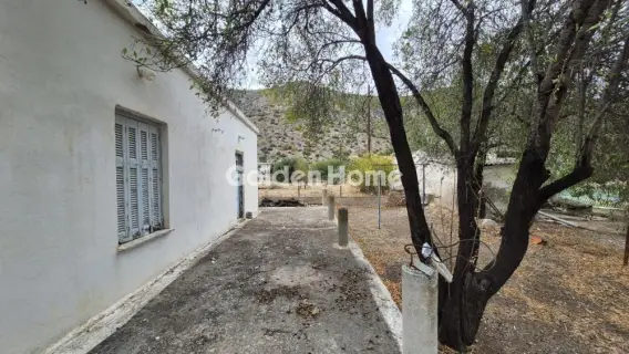 Μονοκατοικία 58τ.μ. προς πώληση φωτογραφία 6