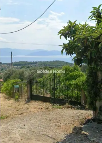 Οικιστικό 1226τ.μ. προς πώληση φωτογραφία 5692037