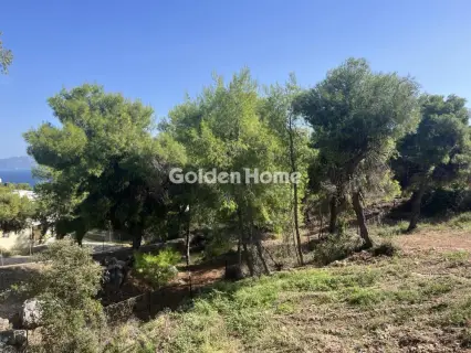 Residential 1000m<sup>2</sup> for sale photo 3