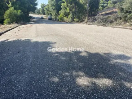 Residential 1000m<sup>2</sup> for sale photo 10
