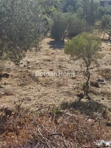 Οικιστικό 751τ.μ. προς πώληση φωτογραφία 5