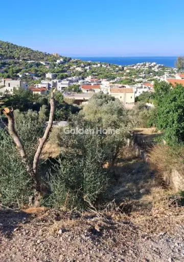 Οικιστικό 751τ.μ. προς πώληση φωτογραφία 2