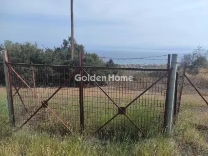 Αγροτεμάχιο 4740τ.μ. προς πώληση φωτογραφία 5686591