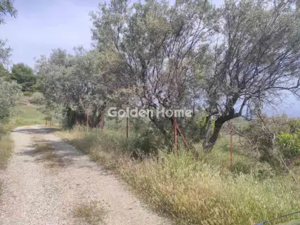 Αγροτεμάχιο 4740τ.μ. προς πώληση φωτογραφία 5686591