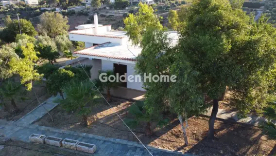 Οικιστικό 3532τ.μ. προς πώληση φωτογραφία 5691575