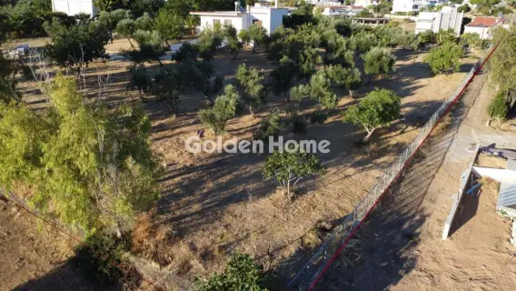 Οικιστικό 3532τ.μ. προς πώληση φωτογραφία 5691581