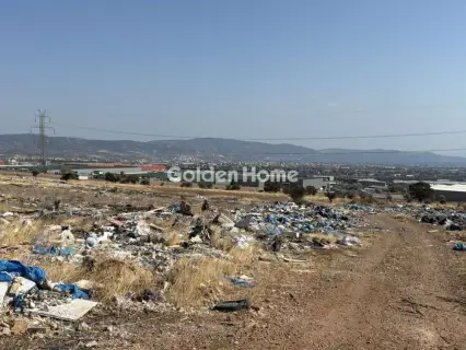 Professional Plot 6000m<sup>2</sup> for rent photo 2