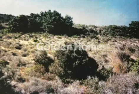 Οικιστικό 20000τ.μ. προς πώληση φωτογραφία 1