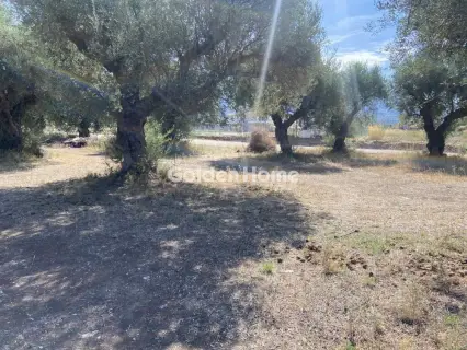 Οικιστικό 184τ.μ. προς πώληση φωτογραφία 5693252
