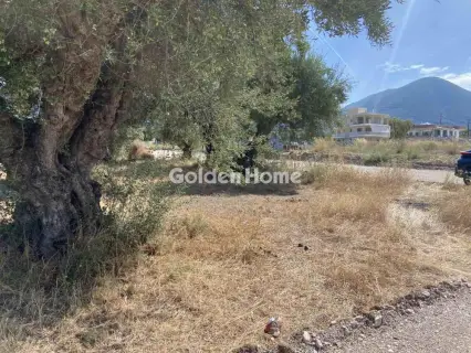 Οικιστικό 184τ.μ. προς πώληση φωτογραφία 5693253