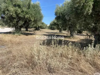 Οικιστικό 520τ.μ. προς πώληση φωτογραφία 5693262