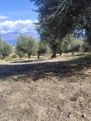 Residential 5656m<sup>2</sup> for sale photo 2