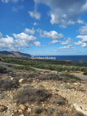 Οικιστικό 3500τ.μ. προς πώληση φωτογραφία 1