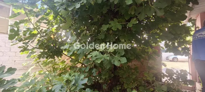 House 60m<sup>2</sup> for sale photo 7