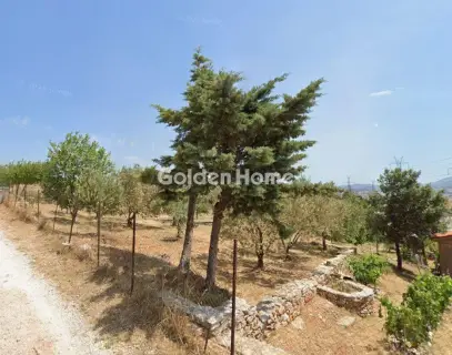 Αγροτεμάχιο 915τ.μ. προς πώληση φωτογραφία 5714907