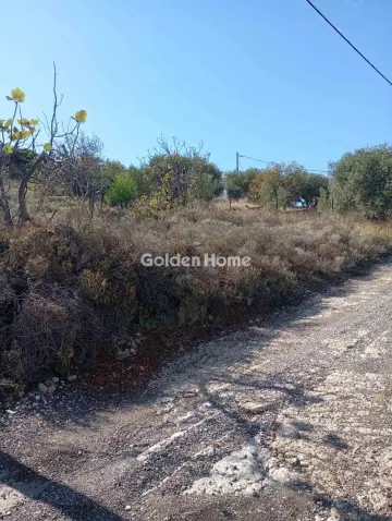 Αγροτεμάχιο 1077τ.μ. προς πώληση φωτογραφία 1