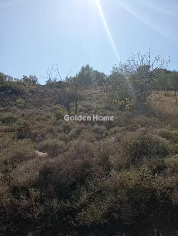 Αγροτεμάχιο 1077τ.μ. προς πώληση φωτογραφία 2