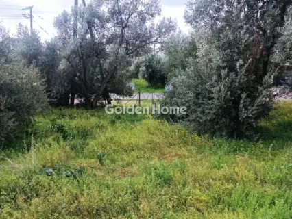 Residential 335m<sup>2</sup> for sale photo 1