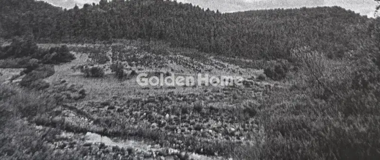 Αγροτεμάχιο 19375τ.μ. προς πώληση φωτογραφία 5715793