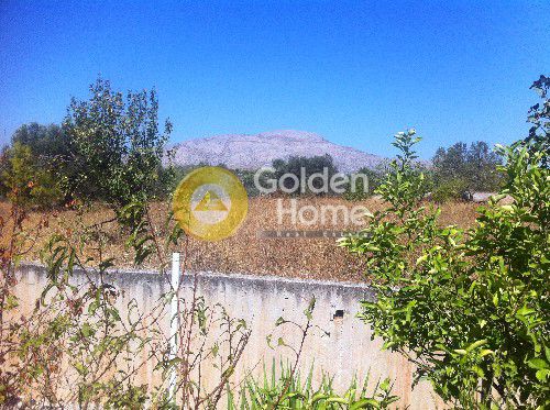 Golden Home Property Image