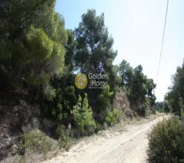 Residential 1000m<sup>2</sup> for sale photo 2