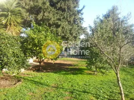 Οικιστικό 310τ.μ. προς πώληση φωτογραφία 5393974