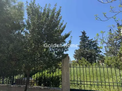 Οικιστικό 310τ.μ. προς πώληση φωτογραφία 3
