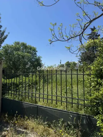 住宅 310m<sup>2</sup> for sale photo 7